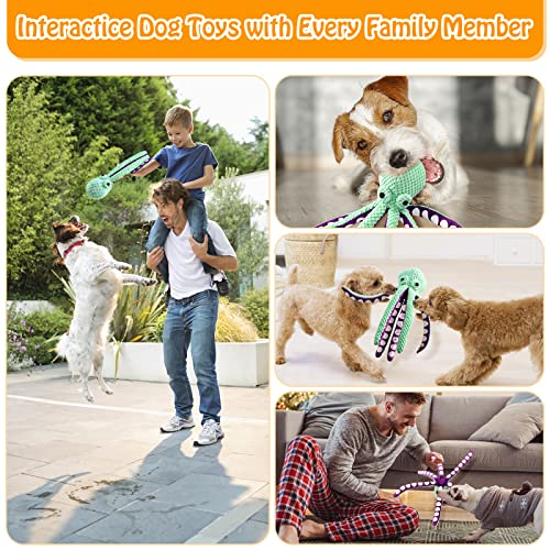 Durable Squeaky Dog Toys for All Sizes
