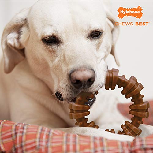 X-Large Nylabone Dog Chew Toy with Flavor Medley
