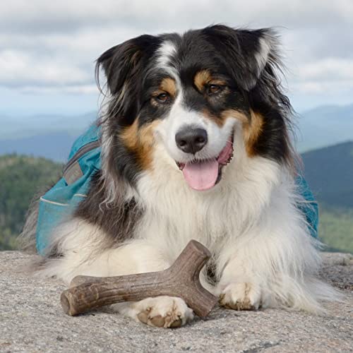 USA Made Benebone Chew Toys for Medium Dogs