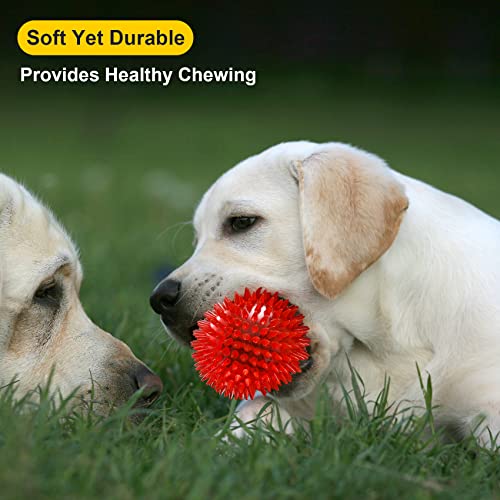 Squeaky Dog Toy Balls in 6 Colors