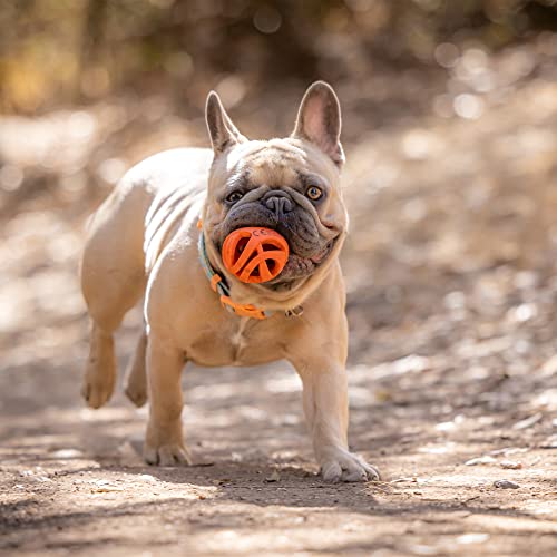 Chuckit! Air Fetch Ball Dog Toy, Medium, Pack of 2