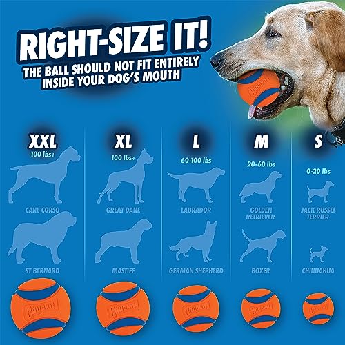 Chuckit Ultra Ball Dog Toy, Medium (2.5 Inch Diameter) Pack of 2, for breeds 20-60 lbs