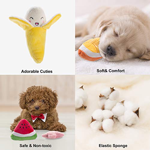 Nocciola Plush Squeaky Dog Toys for Everyone