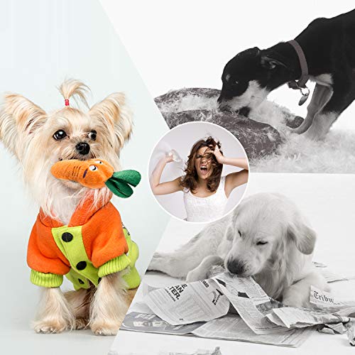 Nocciola Plush Squeaky Dog Toys for Everyone