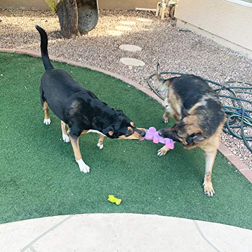5-Pack Assorted Plush Dog Squeaky Toys