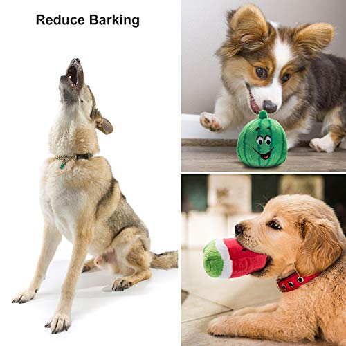 Nocciola Plush Squeaky Dog Toys for Everyone