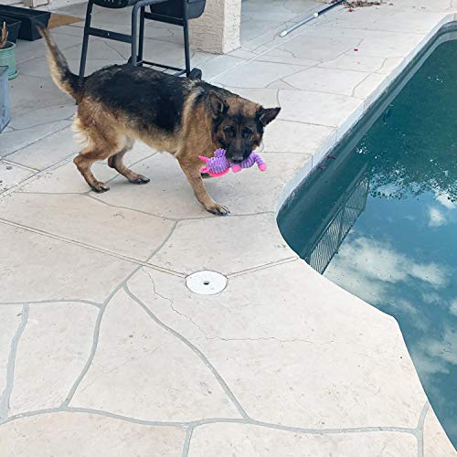 5-Pack Assorted Plush Dog Squeaky Toys