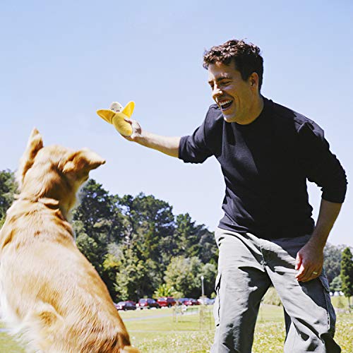 Nocciola Plush Squeaky Dog Toys for Everyone