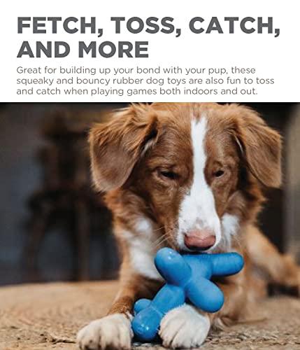 Charming Pet Latex Rubber Balloon Dog Squeaky Dog Toy, Large