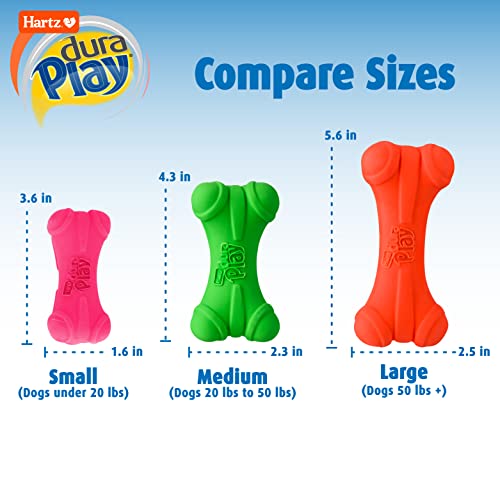 Small Dog Squeaky Bone Toy, 3 Pack
