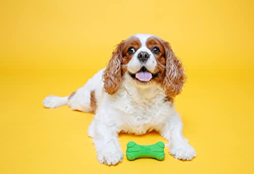 Small Dog Squeaky Bone Toy, 3 Pack