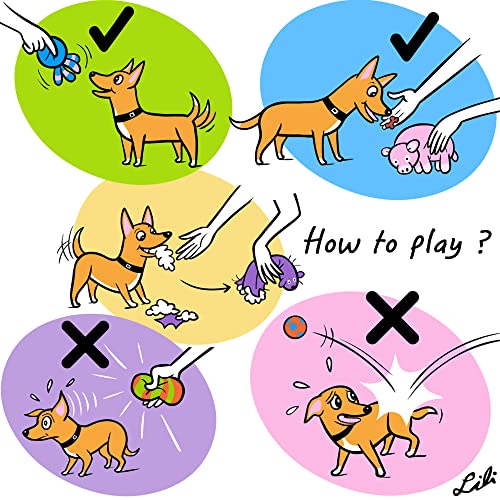 Latex Squeaky Dog Toys - 3 Pack