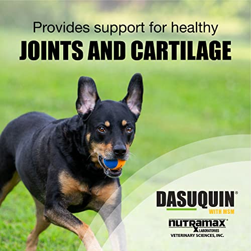 Joint Health Supplement for Large Dogs - Nutramax Dasuquin
