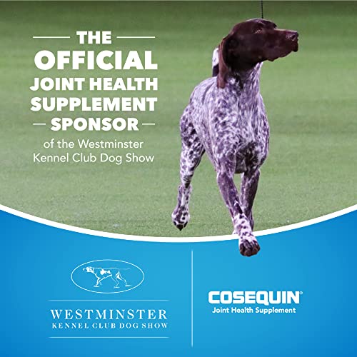 Cosequin DS Joint Supplement Chewables - 132ct