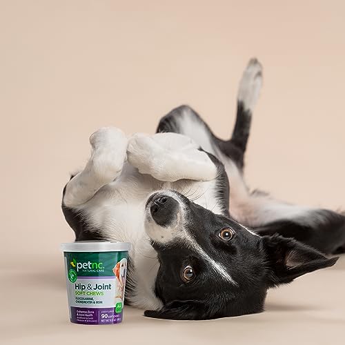 Petnc Hip and Joint Soft Chews, 90ct