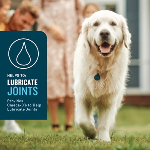 Hip & Joint Supplement for Dogs, Chicken Flavored