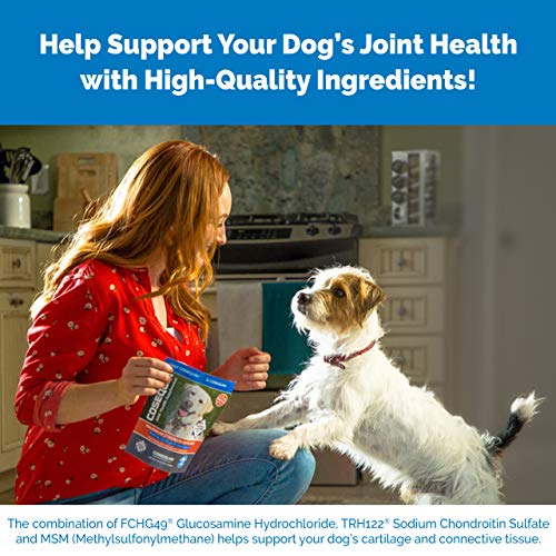 Cosequin DS Joint Supplement Chewables - 132ct