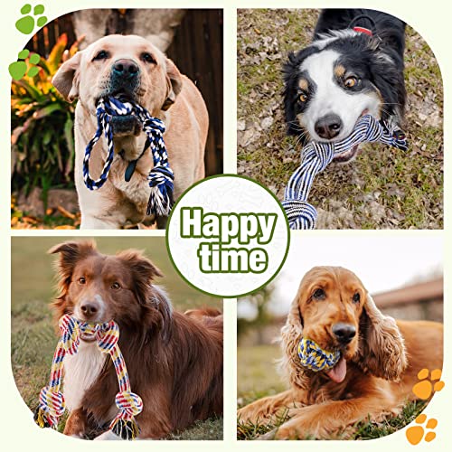 Durable Large Dog Toy Set, 12-Pack