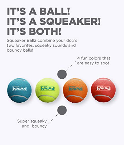 Small Squeaker Ballz Dog Toy Set