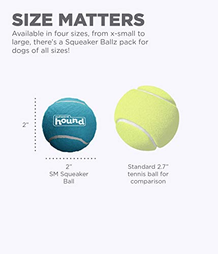Small Squeaker Ballz Dog Toy Set