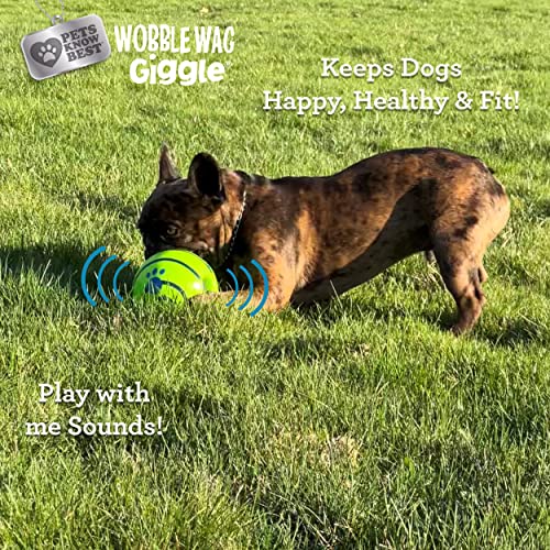 Interactive Dog Toy with Fun Giggle Sounds