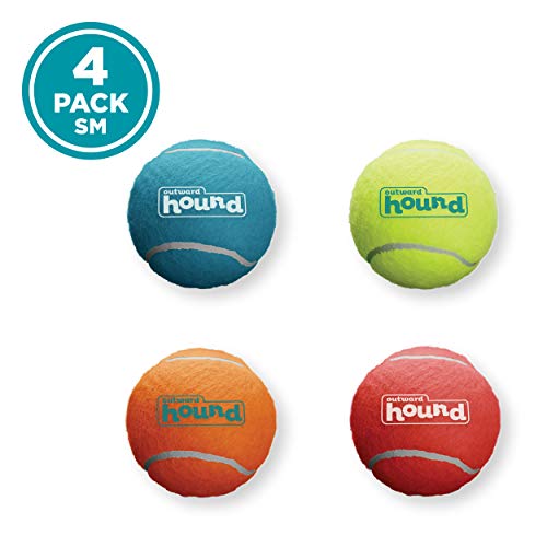 Small Squeaker Ballz Dog Toy Set
