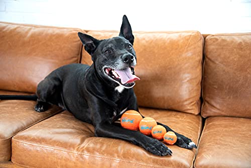Small Squeaker Ballz Dog Toy Set
