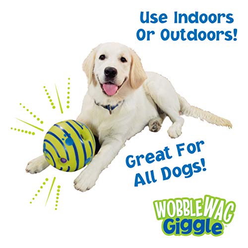 Interactive Dog Toy with Fun Giggle Sounds