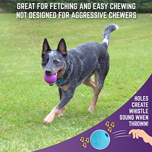 3-Pack Chew King Rubber Fetch Balls
