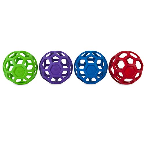 Large JW Hol-ee Roller Dog Toy