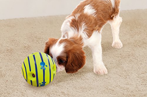 Interactive Dog Toy with Fun Giggle Sounds