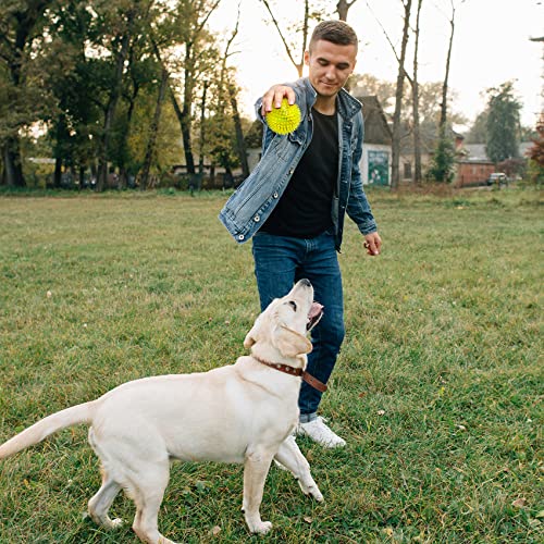 Squeaky Dog Toy Balls in 6 Colors