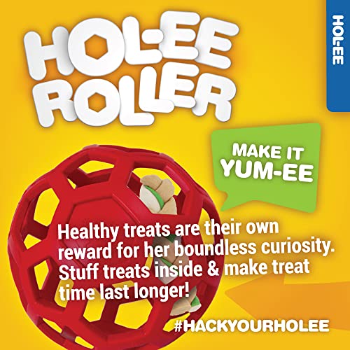 Large JW Hol-ee Roller Dog Toy