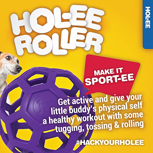 Large JW Hol-ee Roller Dog Toy