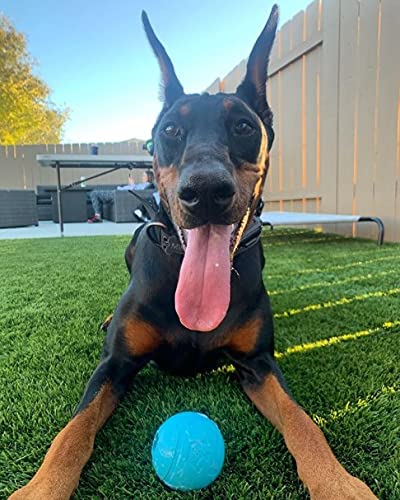 3-Pack Chew King Rubber Fetch Balls