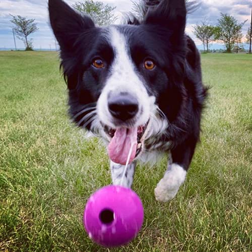 3-Pack Chew King Rubber Fetch Balls