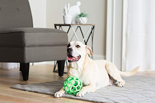 Large JW Hol-ee Roller Dog Toy