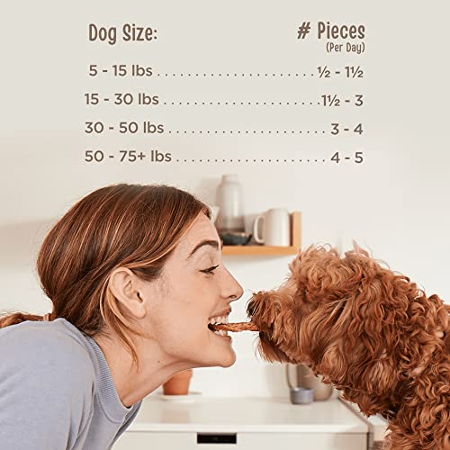 Natural Chicken Jerky Dog Treats, 12 oz