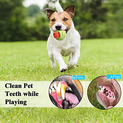 15 Durable Dog Rope Toys for Small Puppies