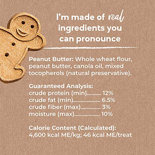 Buddy Biscuits Cloud Star, Peanut Butter, 16 Ounce