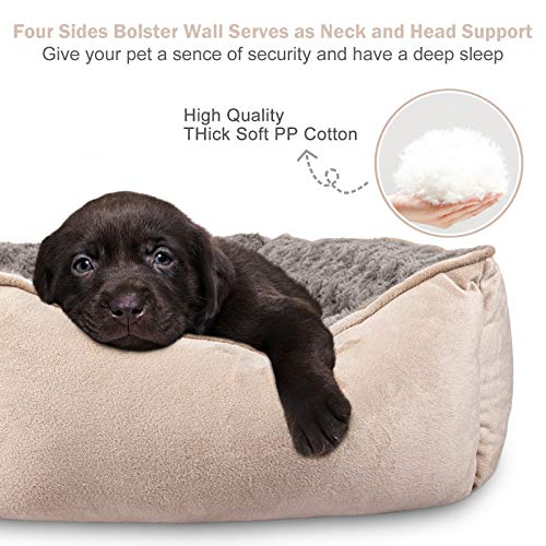 Rectangle Beige Dog Bed for All Sizes