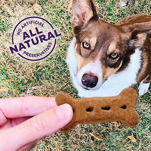 Classic Natural Dog Treats, P-Nuttier Flavor, 6lb Box