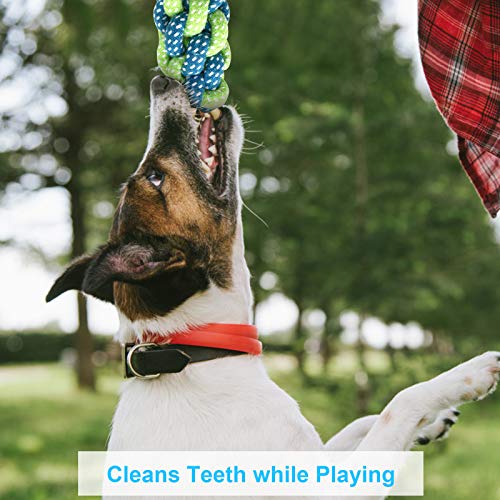 Assorted Durable Dog Rope Toys - 4PCS