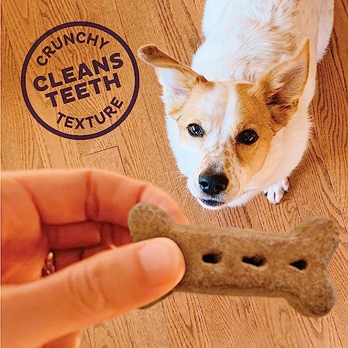 Classic Natural Dog Treats, P-Nuttier Flavor, 6lb Box