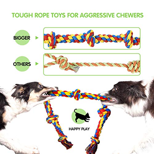 9-Piece Indestructible Dog Toy Set for Large Breeds