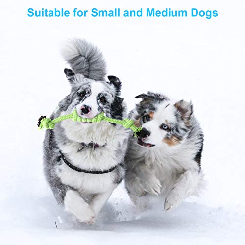Assorted Durable Dog Rope Toys - 4PCS