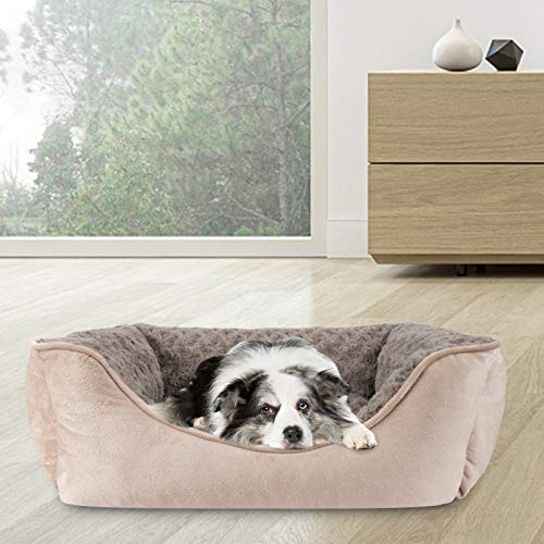 Rectangle Beige Dog Bed for All Sizes
