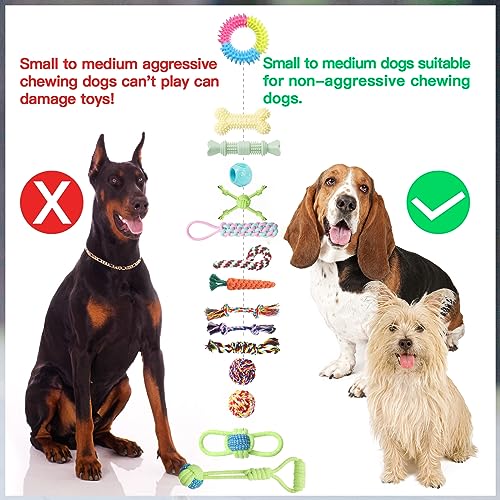 20 Indestructible Dog Chew Toys for Puppies