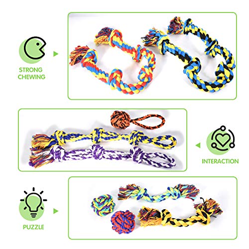 9-Piece Indestructible Dog Toy Set for Large Breeds