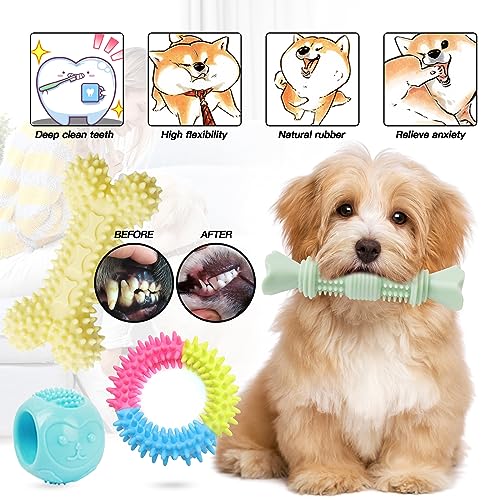 20 Indestructible Dog Chew Toys for Puppies